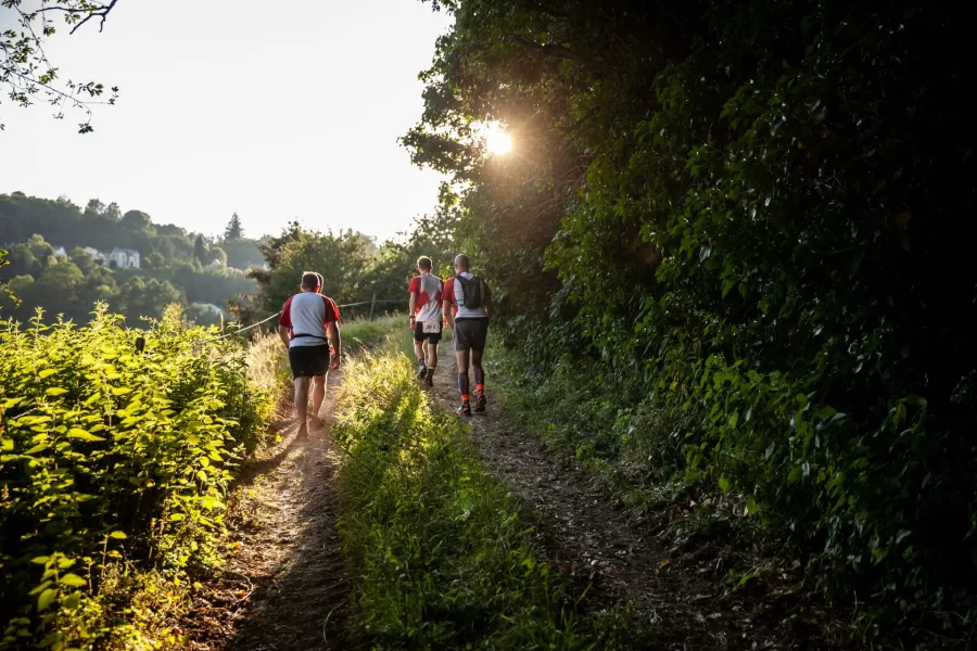 Hunger-race-reduced-fin-trail